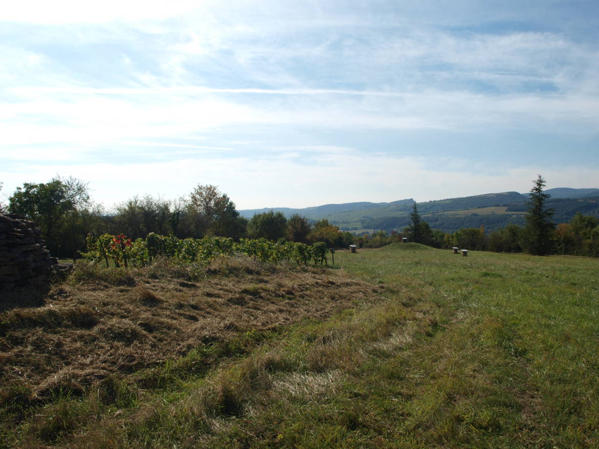COLLINE-DE-MPONCEAU-Copie-2.jpg