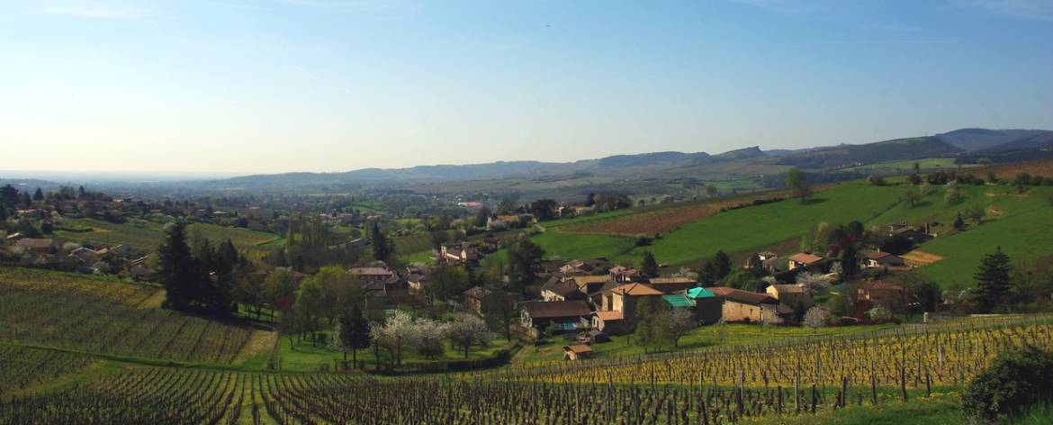 vue-de-Somméré.jpg