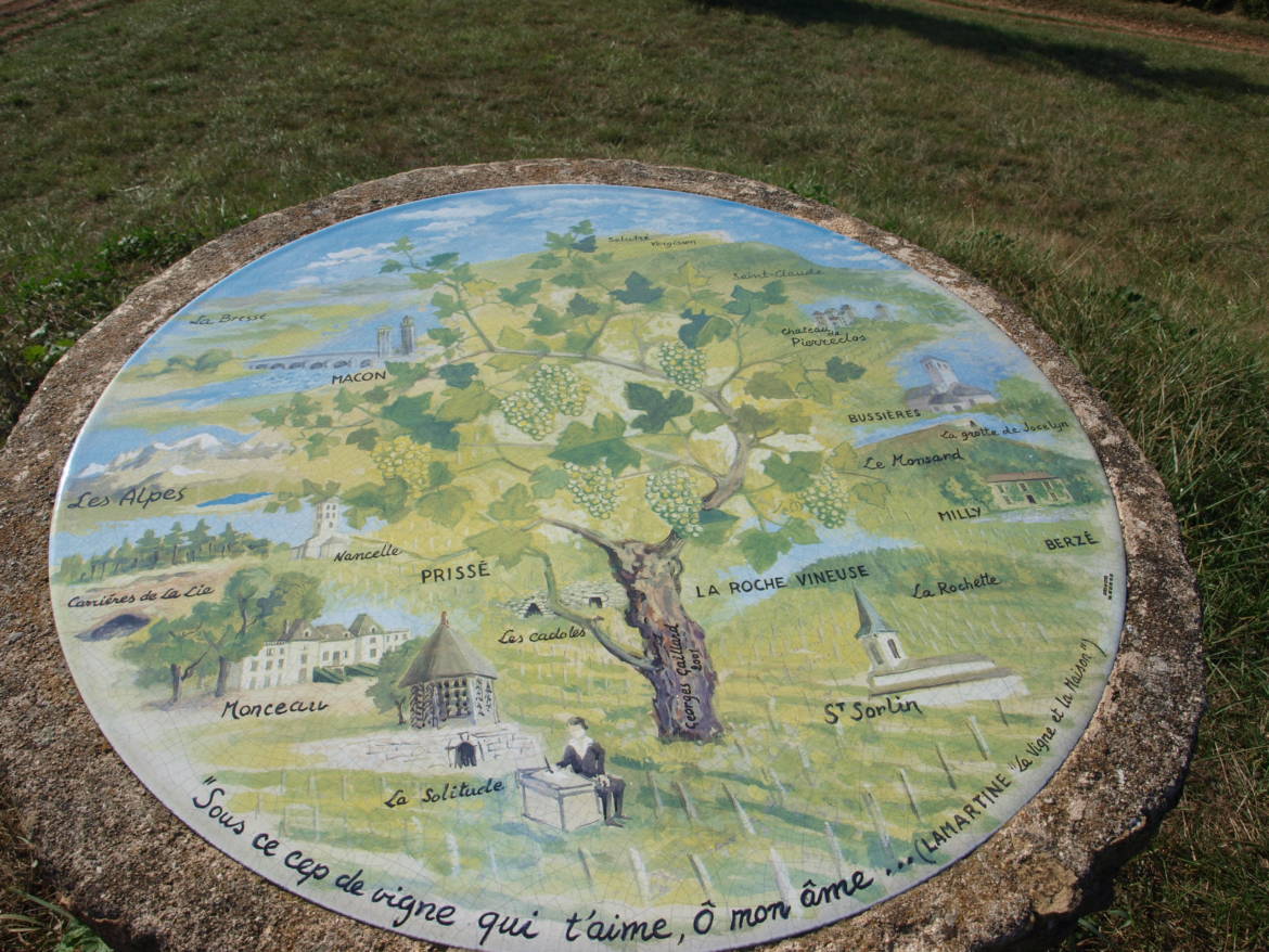 PA069085.jpg
