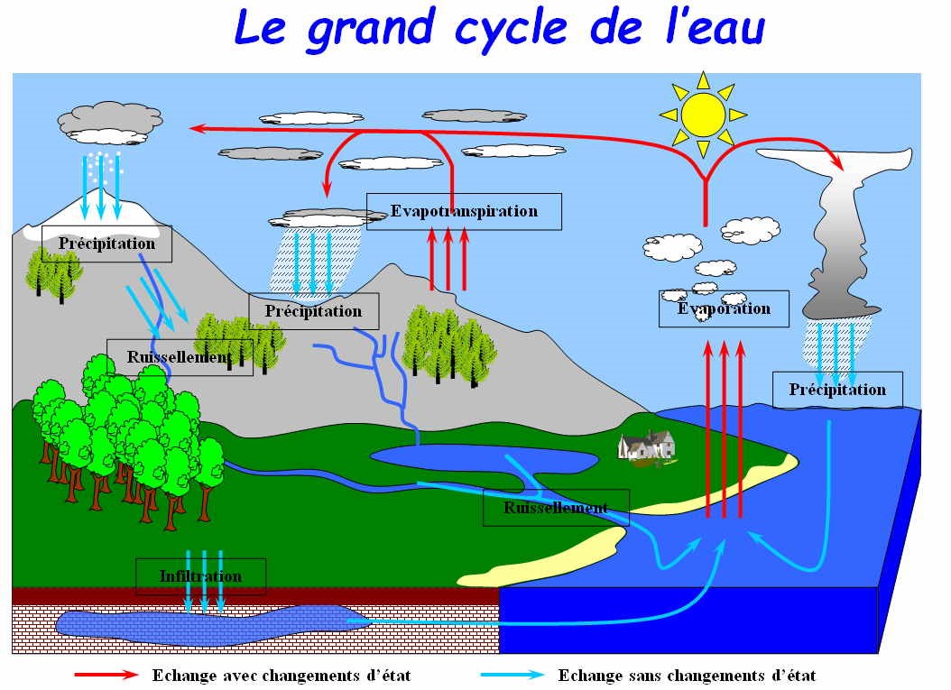 grand-cycle-eau.jpg