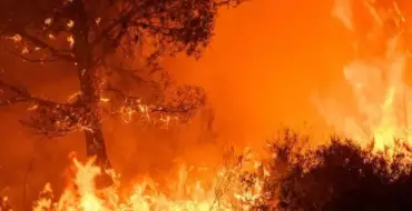 Prévention des feux de forêts