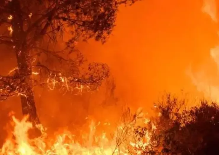 Prévention des feux de forêts