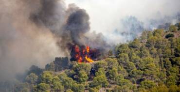 Déclenchement niveau risque SÉVÈRE feux de forêt
