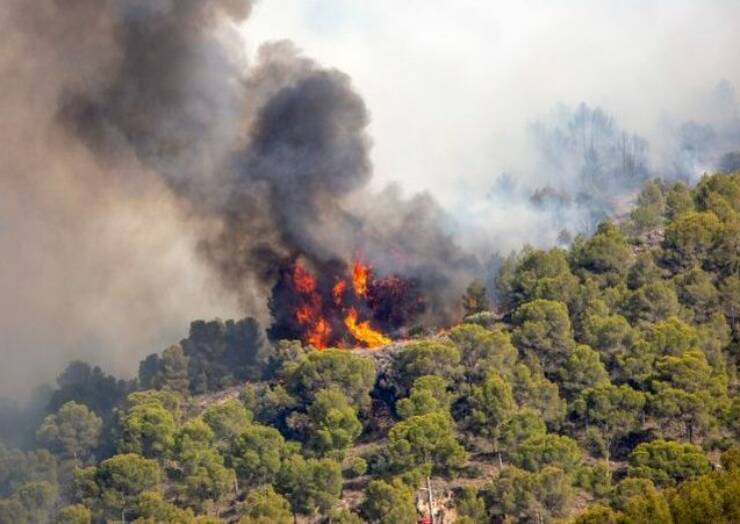 Déclenchement niveau risque SÉVÈRE feux de forêt