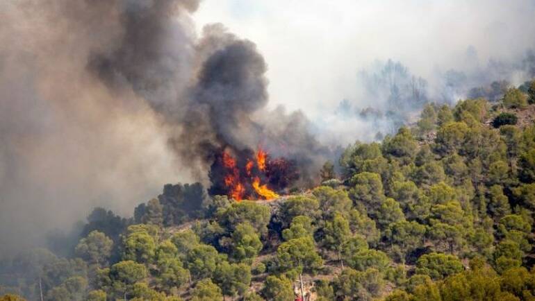Déclenchement niveau risque SÉVÈRE feux de forêt